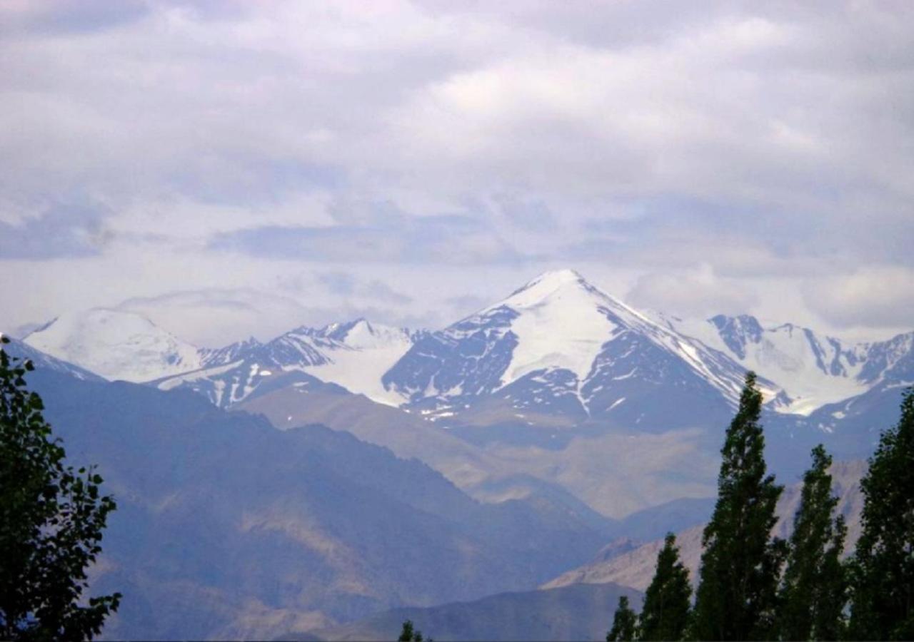 Hotel Ladakh Heaven เลห์ ภายนอก รูปภาพ